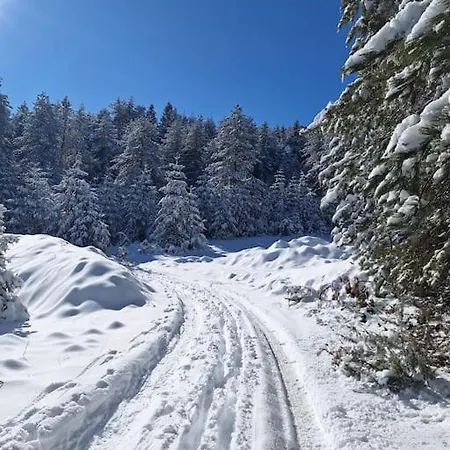דירה Winter Tale In The Forest בנסקו