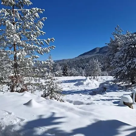 Winter Tale In The Forest